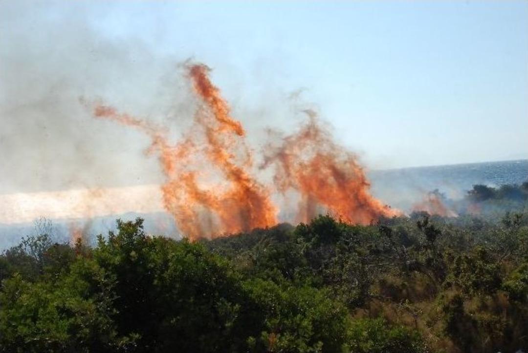Didim&rsquo;de &Ouml;rt&uuml; Yangını Korkuttu