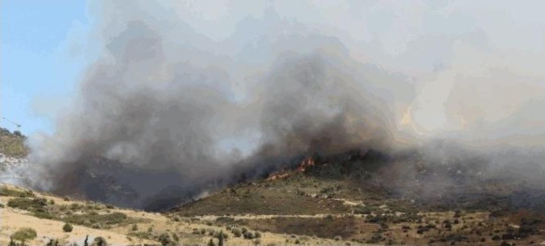 Fo&ccedil;a Ormanları Da Yandı