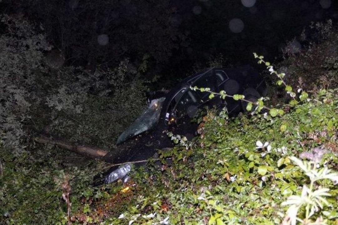 Gurbet&ccedil;inin Otomobili Yoldan &Ccedil;ıkıp Ağaca &Ccedil;arptı: 2 &Ouml;l&uuml;, 2 Yaralı