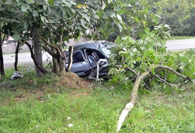 Kocaeli’de Trafik Kazası: 2 Yaralı