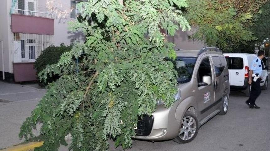 Aksaray&rsquo;da R&uuml;zgar Ağa&ccedil;ların Dallarını Kırdı