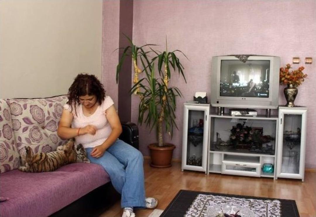 (&ouml;zel Haber) Annesinin Terk Ettiği Yavru Kaplana Evinde Bakıyor