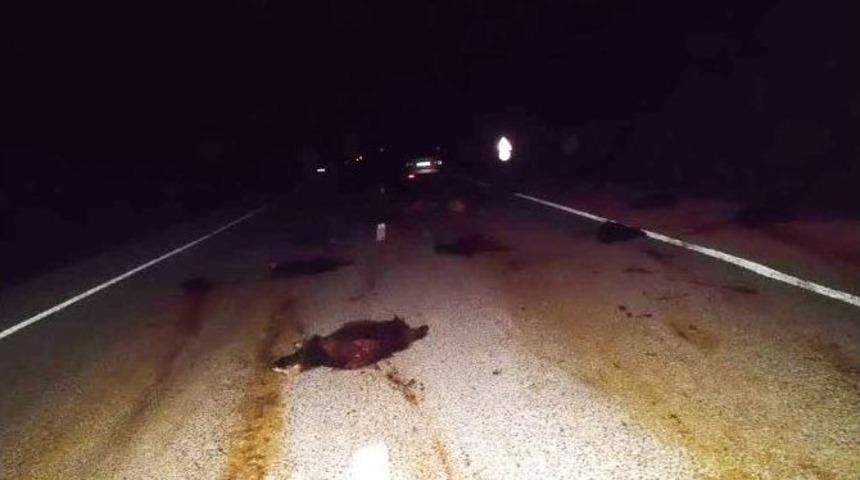 Beyşehir Ve Derebucak&rsquo;ta Trafik Kazaları