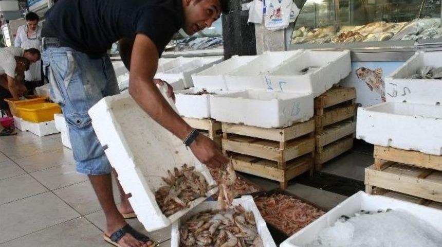 Marmarisli Balık&ccedil;ılar Av Sezonundan Umutsuz