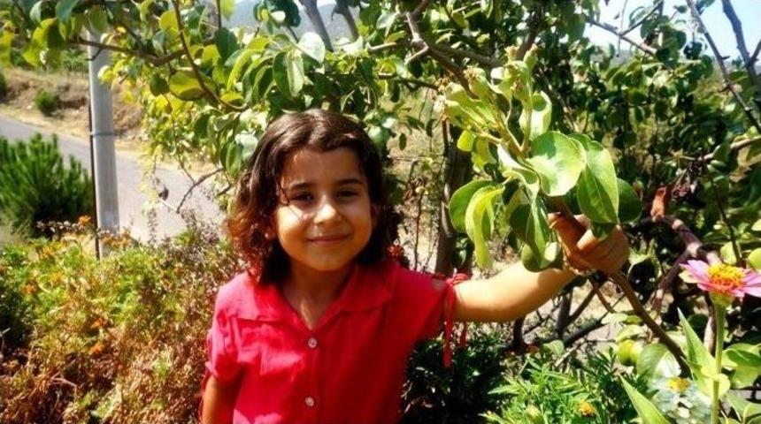 Bir Yılda İki Kez &Uuml;r&uuml;n Verdi