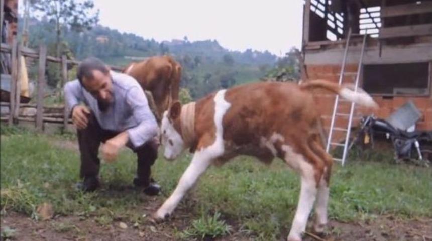 Dana Yavrusunu &Ccedil;ocuklarından Ayırmıyor