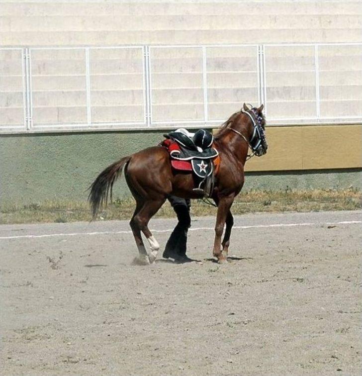 Ciritte Çeyrek Final Heyecanı Başladı G4