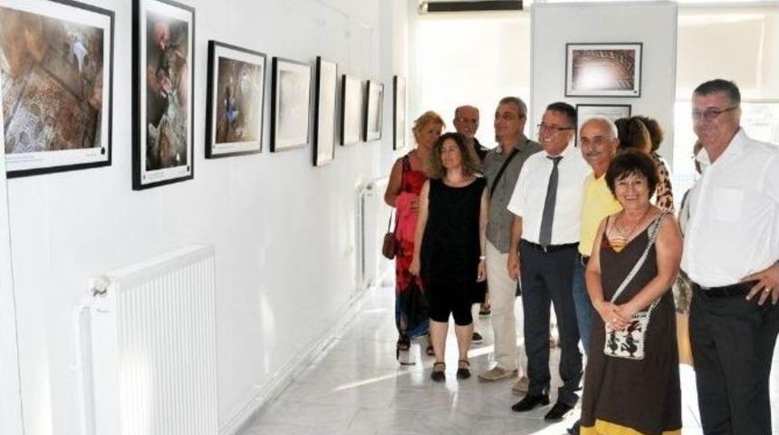 ‘antandros Gün Işığına Çıkıyor’ Sergisi Açıldı