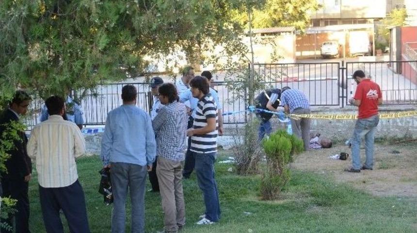 Yaşlı Adam Parkta &Ouml;ld&uuml;