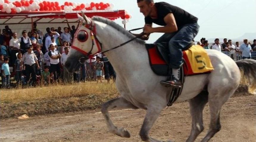 Ağrı&rsquo;da &ldquo;2014 Yılı At Yarışları&rdquo; Yapıldı