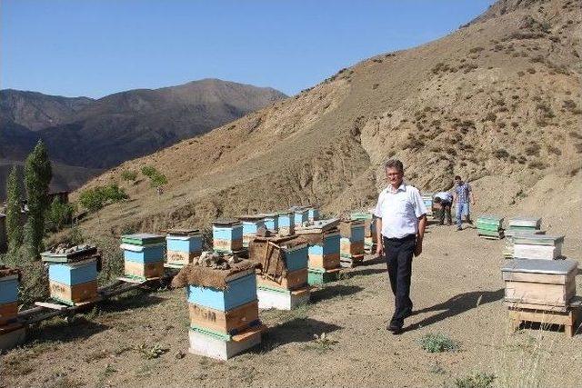 Köylülere Hibe Desteği