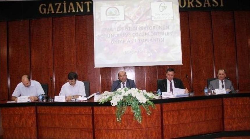 Antepfıstığında Beklenen Adım