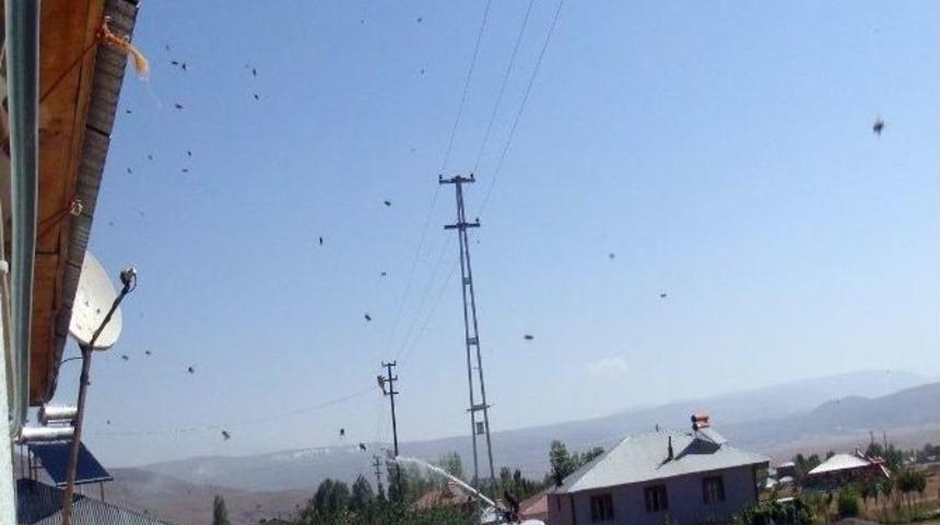 Karlıova&rsquo;da Bir Mahalleyi Arılar Bastı