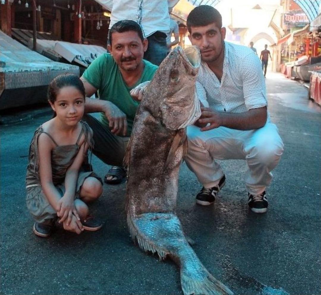 (&ouml;zel Haber) 2 Metrelik &rsquo;halili&rsquo; Balık Tezgahında