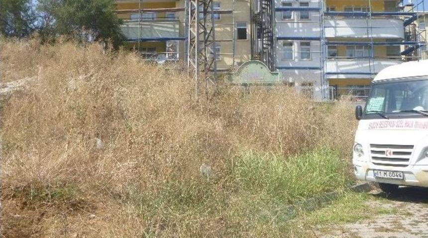 Bilecik&rsquo;te Kuru Otlar Yangına Davetiye &Ccedil;ıkartıyor