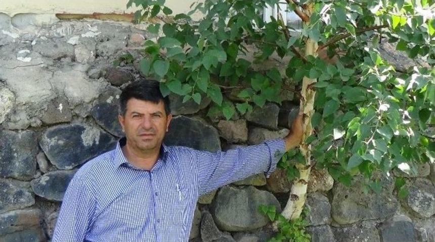 Kars&rsquo;ta Garnizon Şehitliği&rsquo;nin Duvarında &Ccedil;ıkan Ağa&ccedil; İlgi &Ccedil;ekiyor