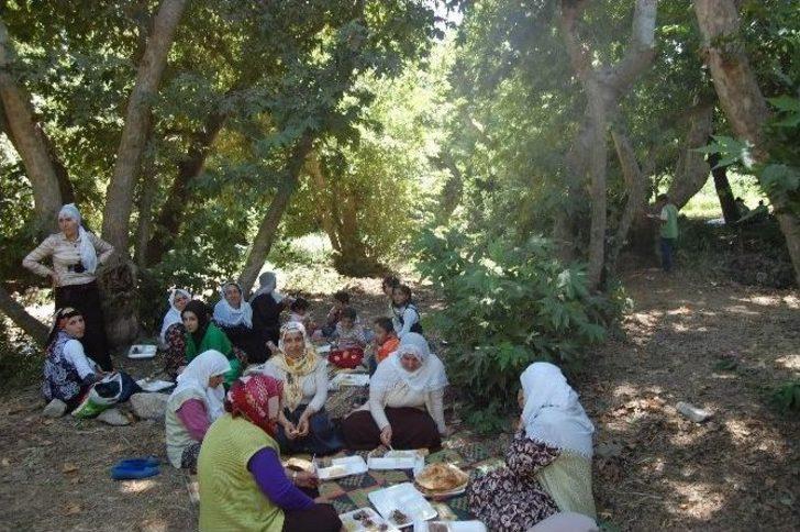 nasıl jigolo olabilirim. burdur sex