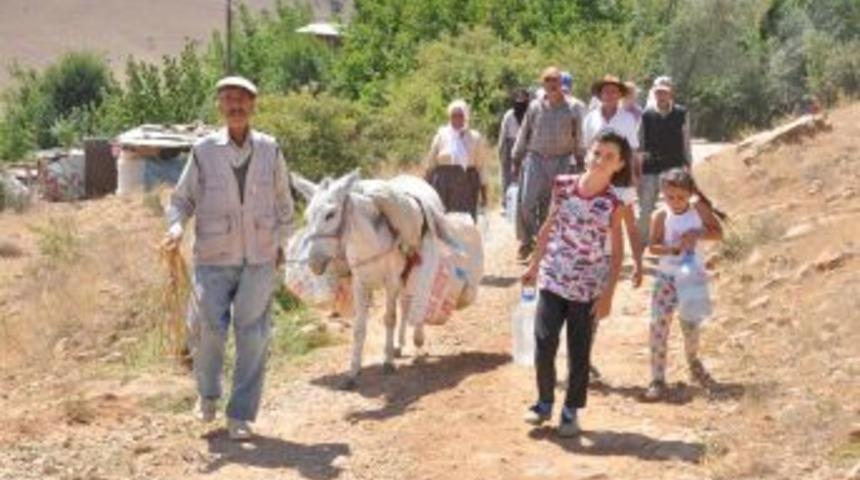 Tatile geldiler, Suya hasret kaldılar