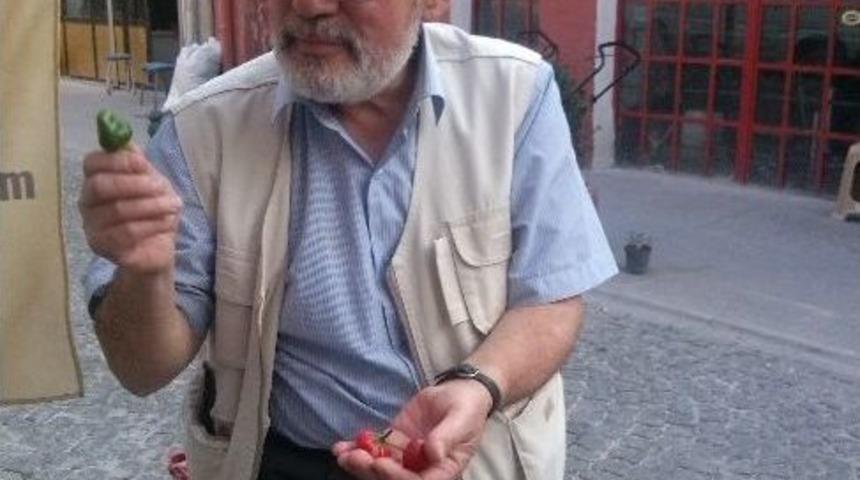 Nihat Dede, K&uuml;f&uuml;r Edenin Ağzına Acı Biber S&uuml;r&uuml;yor