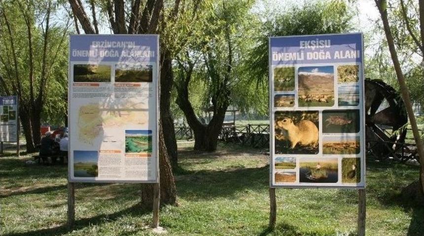 Ekşisu&rsquo; Da Hummalı &Ccedil;alışma