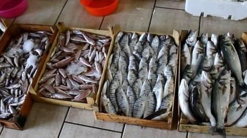 Fo&ccedil;alı Balık&ccedil;ılar Bereketli D&ouml;nd&uuml;