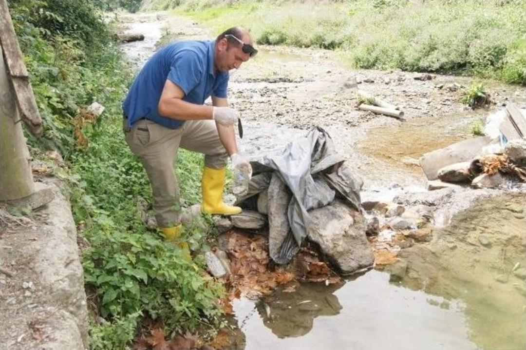 Uludere&rsquo;de Balık &Ouml;l&uuml;mlerine Neden Olan Fabrika Kapatıldı