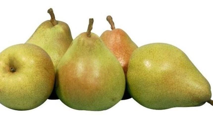 Armut Ateş D&uuml;ş&uuml;r&uuml;yor !