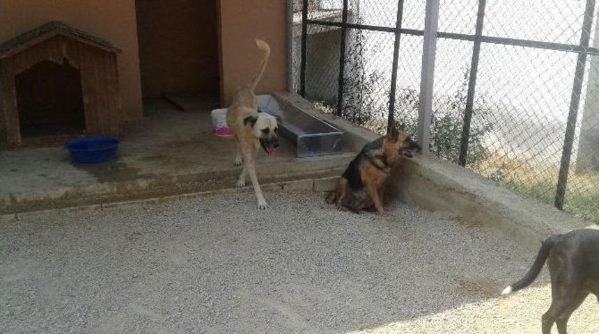 Dohayko&rsquo;dan Kozan Belediyesi&rsquo;ne Teşekk&uuml;r