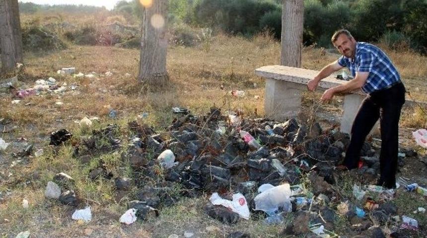 Y&uuml;zlerce Fideyi &Ccedil;&ouml;pe Attılar