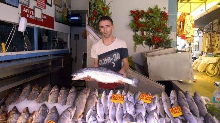 Av Sezonu A&ccedil;ıldı, Tezgahlar Şenlendi