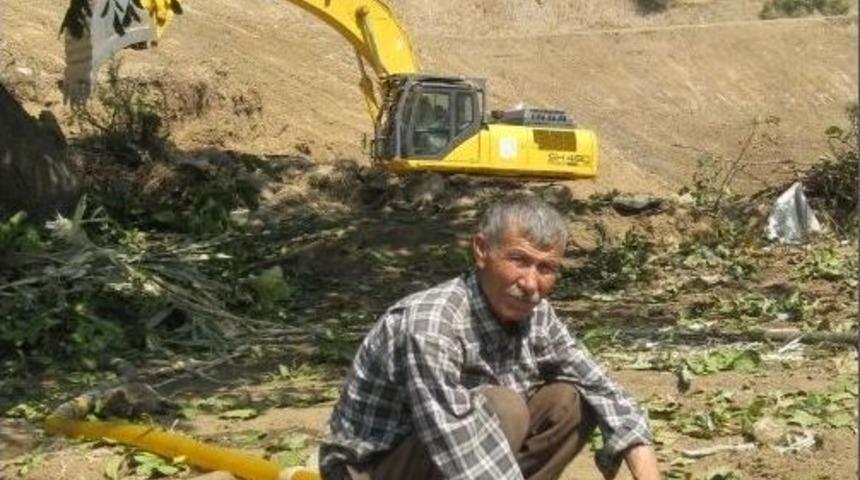 Kep&ccedil;e G&ouml;lgesinde Marul Tarlası