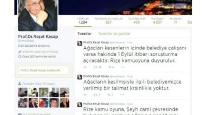 Gece Yarısı Kesilen Ağa&ccedil;larla İlgili İnceleme Başlatılacak