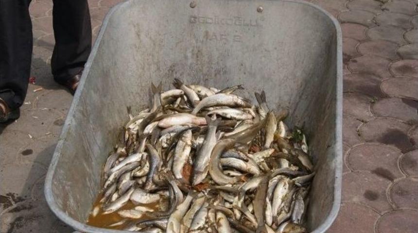 Hendek&rsquo;te &Ccedil;evre Katliamının İzleri Siliniyor