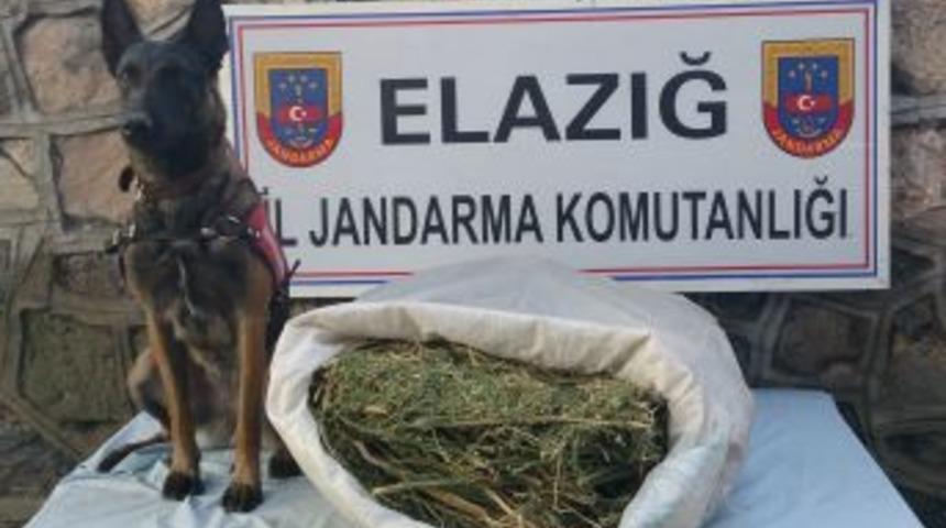 Jandarma, 10.020gr Esrar Maddesi Ele Ge&ccedil;irdi
