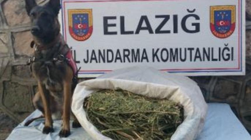 Elazığ&rsquo;da Jandarma 10 Kilogram Esrar Ele Ge&ccedil;irdi