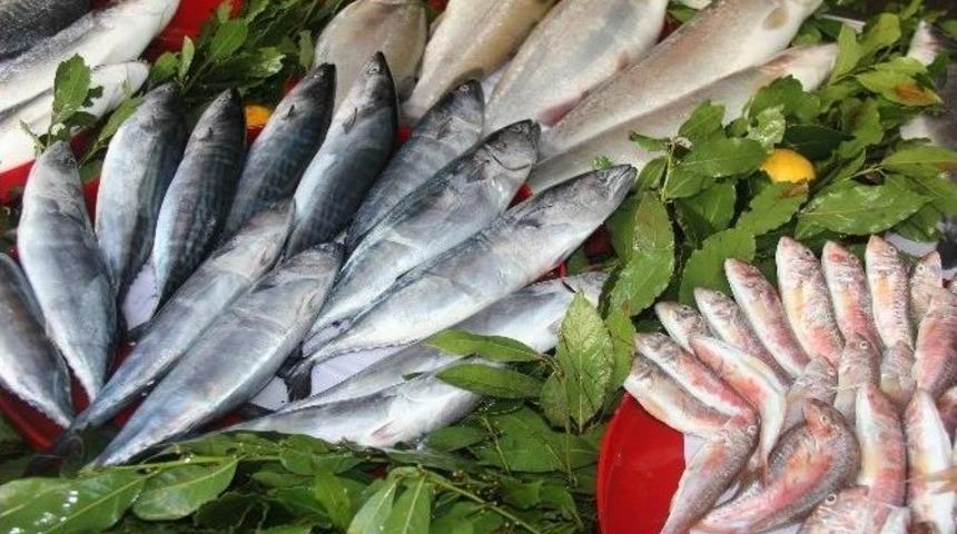 Samsun&rsquo;da Balık Tezgahları Şenlendi