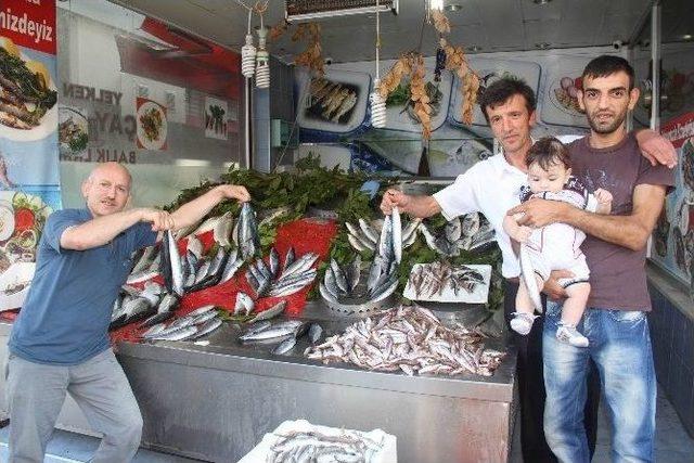 Samsun’da Balık Tezgahları Şenlendi