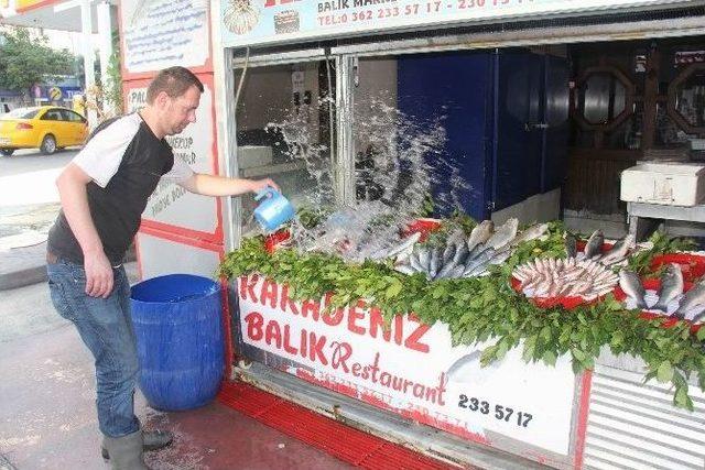 Samsun’da Balık Tezgahları Şenlendi