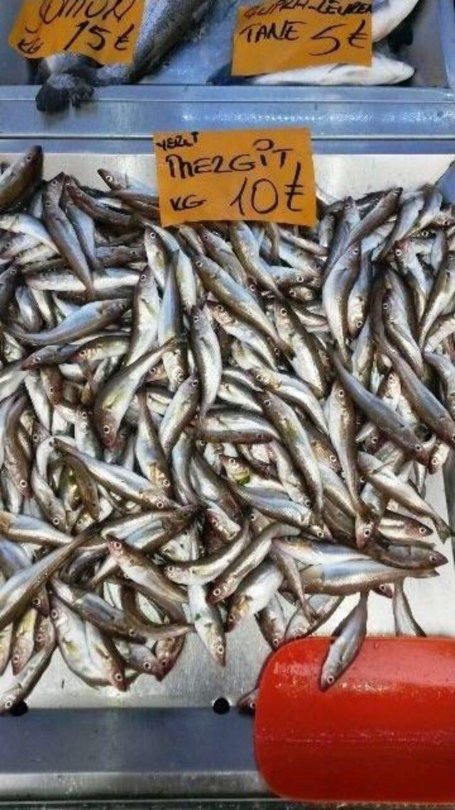 Balık Sezonu Açıldı, İşte Tezgahtaki Fiyatlar