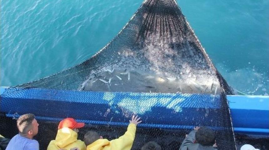 Balık&ccedil;ıların Palamut Sınavı