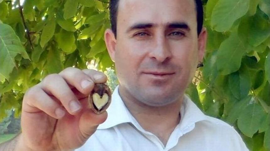 Cevizin İ&ccedil;indeki Kalp Şekli Şaşırttı