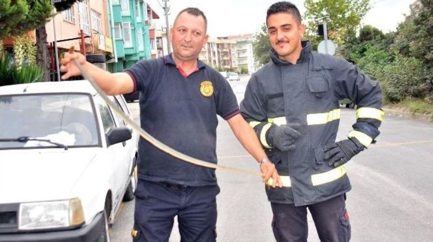 (&ouml;zel Haber) Stajyer İtfaiyecilere Yılan Yakalama Eğitimi