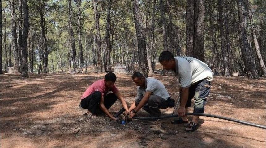 Kumluca&rsquo;da Sarnı&ccedil; Tepesi &Ccedil;imlendiriliyor