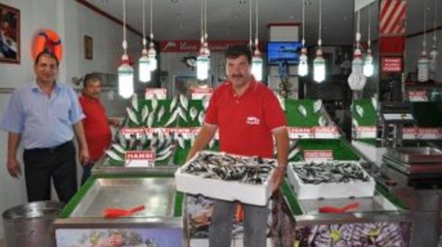 L&uuml;leburgaz&rsquo;da Balıklar Tezgahtaki Yerini Aldı