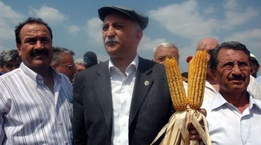 Bayraktar, &Ccedil;ine&rsquo;de Mısır Hasadına Katıldı