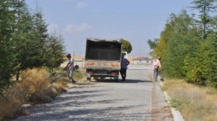 Cihanbeyli&rsquo;de Okullarda Temizlik Seferberliği