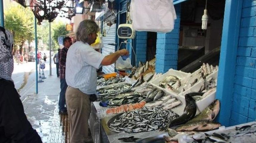 Balık Sezonu Açıldı, Düne Göre Fiyatlar Düştü