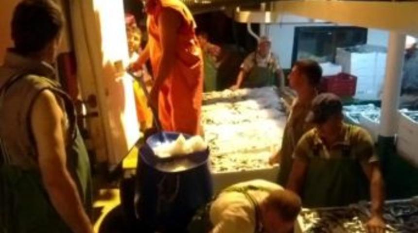 Marmara&rsquo;da Sardalye Bereketi Yaşanıyor