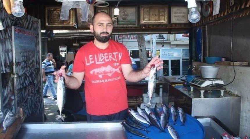 Balık Tezgahları Ne Balık&ccedil;ıyı Ne Vatandaşı Memnun Ediyor