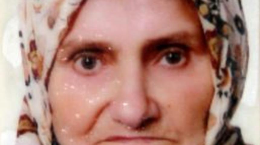 Samsun&rsquo;da Otomobilin &Ccedil;arptığı Kadın &Ouml;ld&uuml;